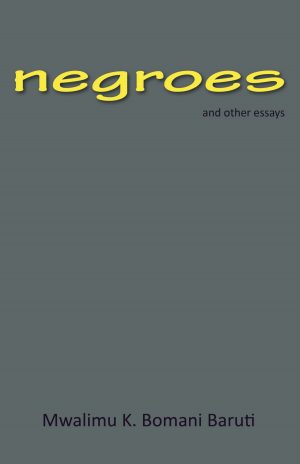 negroes and other essays