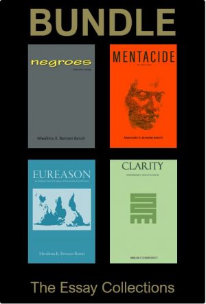 The Essay Collection