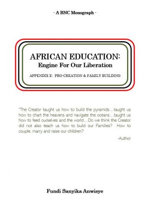African Education:  Engine For Our Liberation